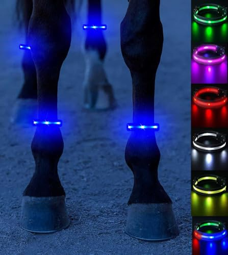 SUKEYME Reiter 2024 V.1 LED-Pferde-Zaumzeug, Mehrfarbig, M