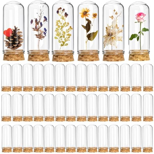 Mezchi 50 Pack 40 ml Glass Cloche Dome, 3 Inch Small Glass Bottles with Cork Stoppers, Decoration Message Bottle Vial Cork for Candy, DIY Art Crafts, Wedding Party Favors