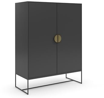 Dorel Home Asia Cabinet with 2 Doors in Anthracite, 90 x 40 x 125cm (WxDxH)