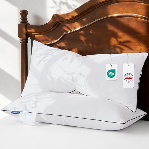 DOWNFOCUS Cuscino in piuma d'oca, 100% piume naturali, ergonomicamente ottimizzato a 3 camere, 40 x 80 cm, set da 2
