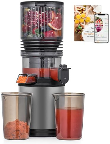 Cold Press Juicer Machine with 6 Extra-Wide Feed Chute,Triple Stainless Steel Filter,Quiet DC Motor,Easy to Clean,Slow Masticating Juicer High Juice Yield,Grey