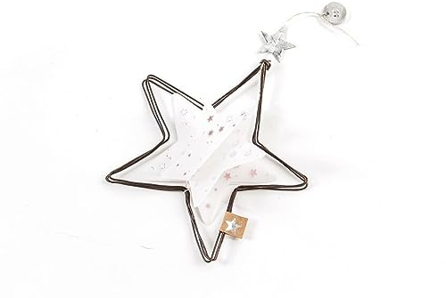 Good old Friends Winter Transparent Ornament Stern 5er