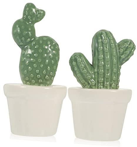 JECOMPRIS Statuina Cactus in Porcellana Artigianale, Decorazione Cactus Artificiale Per Casa e Giardino, Ornamento Leggero e Dettagliato in Set Da 2 Pezzi