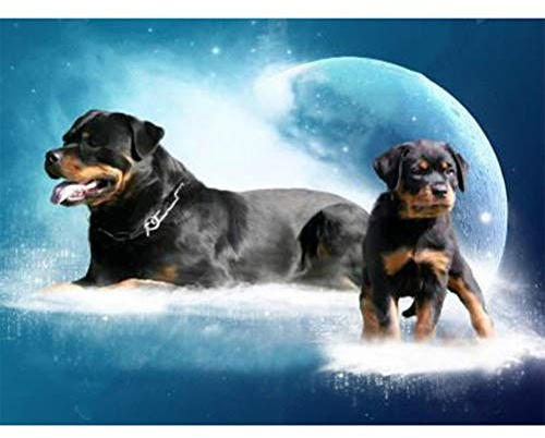 Kylewo DIY 5D Diamant Malerei Set, 5D DIY Diamant Stickerei Naturkulisse Rottweiler Hund Diamant Malerei Landschaft Kreuzstich Mosaik Diamant Decor 40 * 30cm