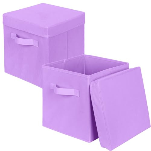 powerking Scatola di stoccaggio Bins, 2 pacchetto pieghevole tessuto stoccaggio cubo con coperchio, vestiti organizzatore cassetto per armadio e giocattoli stoccaggio, 27x27x28cm,Lavanda