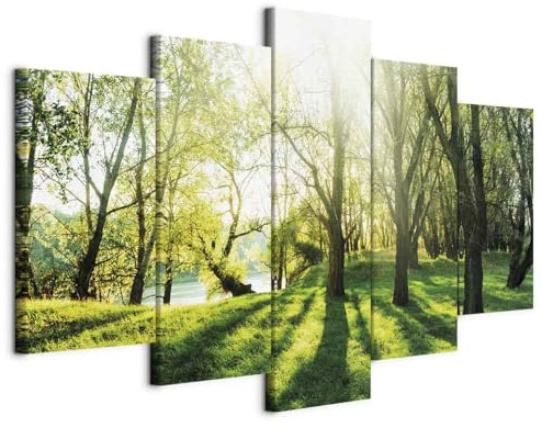 B&D XXL - Grand Tableau Décoration Murale Chambre, Nature, 200x100 cm | Clous Inclus, Impression sur Toile, Tableaux, Posters et Arts Décoratifs, Vert, Arbres Paysage Forêt Feuilles Plantes Soleil