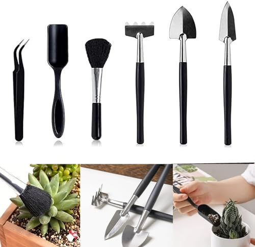 Set di Attrezzi da Giardinaggio, 6 Pezzi, Mini Paletta Giardinaggio e Rastrello Giardino, Per Piante e Giardinaggio, Regalo di Giardinaggio per Uomini e Donne