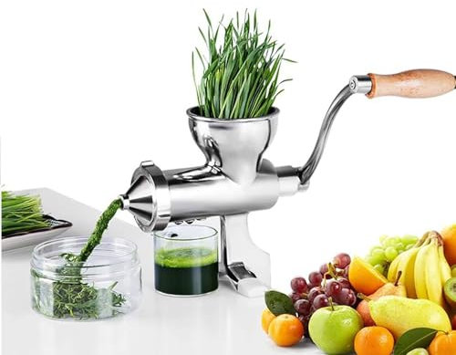 Spremiagrumi per Erba di Grano, Estrattore Fai-da-Te per Spremiagrumi Verde Foglia in Acciaio Inossidabile, Estrattore di Succo per La Casa, per Spremere Sedano, Cavolo Riccio, Spinaci, Prezzemolo