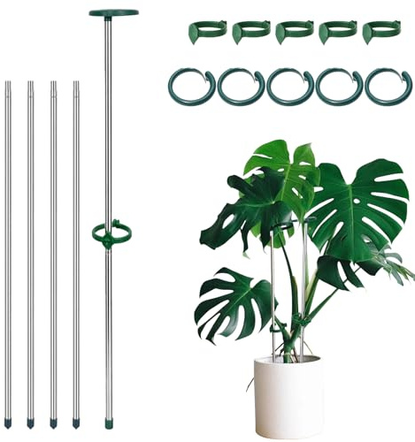 Tutores para Plantas, Tutor Monstera Ajustable de 28 a 52 cm con Clips para Interior y Exterior Supporto per Piante para Plantas, Orquídeas, Tomates, Verduras, Monstera y Enredaderas