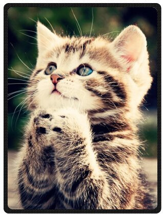 YISUMEI - 150 x 200 cm Decke - Liebenswerte Katze Fleecedecke,Kaschmir-Gefühl Kuscheldecke Geeignet für Bett oder Sofa