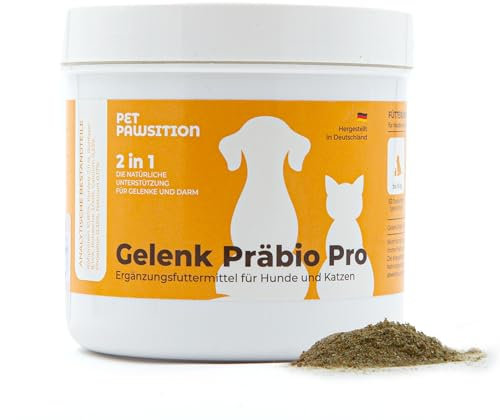 Pet Pawsition Testsieger – Alternative zu Gelenktabletten Hund – 2 in 1 für Gelenke, Knochenschutz & Magen Darmflora – Präbiotika Pulver mit MSM & Bierhefe für Hunde & Katzen – stärkt das Immunsystem