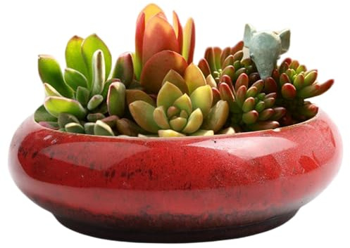 Licsaliwe Pot de Fleurs en Forme de Bol Lotus, Pot à bonsaï en céramique émaillée 7, 4 Pouces, Fleur rétro Peu Profond pour Cactus, décoration intérieure (Rouge)
