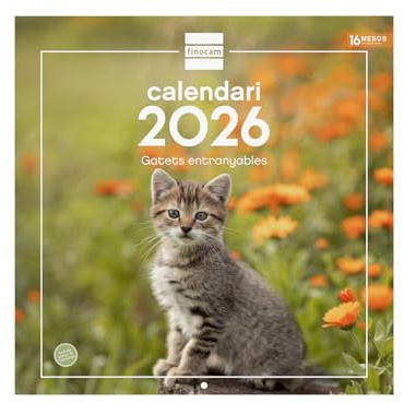 Finocam - Calendrier mural 2026, 30 x 30 cm, vue mois janvier - décembre 2026 + sept. - Déc. 2025 (4 mois) réduits | Calendrier 2026 | Images Chatons - Catalan