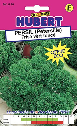Graines de Persil (Petersilie) Frisé vert foncé Format ECO - 18 grammes