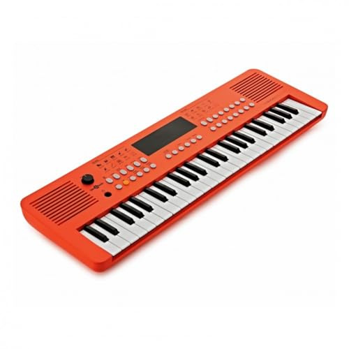 VISIONKEY-2 Tastiera MIDI portatile a 49 tasti - Mini tastiera di pianoforte elettrico per bambini e principianti USB-C