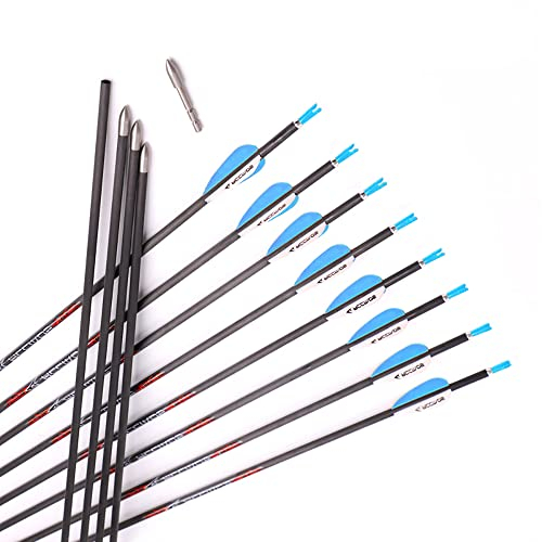 ACCMOS Bogensport Reinem Carbon Pfeil Spine 800 ID 4,2 mm Jagdpfeil,32inch, für Recurve Bogen Compoundbögen Traditioneller Bogen 12 St (Spine 800, 32inch)