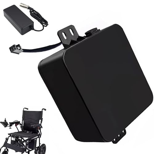 HJGHY Batería de Litio de 24 V 10 Ah, 12 Ah, 14 Ah, Recargable con Cargador y BMS, baterías de 24 V para sillas de Ruedas eléctricas con Motores de 50 W a 340 W.,T Plug 24v10ah