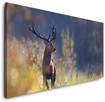 Hirsch in einem Wald 120x 60cm Panorama Leinwand Bild XXL Format Wandbilder Wohnzimmer Wohnung Deko Kunstdrucke