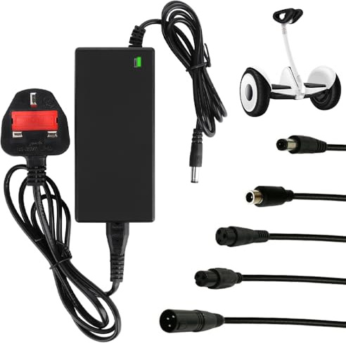 Gobesty Electric Scooter Charger, 42V 2A Hoverboard Charger, Fast Charging Power Adapter with 6 Connections, for Xiao-mi M365, Electric Bike, Hoverboard