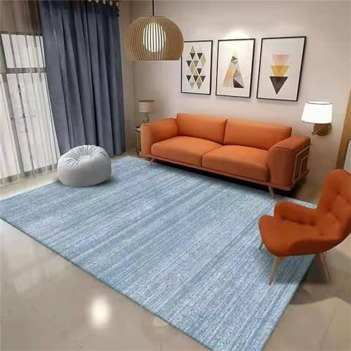 RUGMRZ Teppich Outdoor Flickenteppich Waschbar Blauer Esszimmerteppich rechteckig Wohnzimmer großer Nicht verblassend Flur 70X140CM