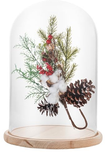 APACALI 1 campana in vetro con fondo in legno, 30 cm, in vetro trasparente, con base per luci, decorazione, accessorio per la casa