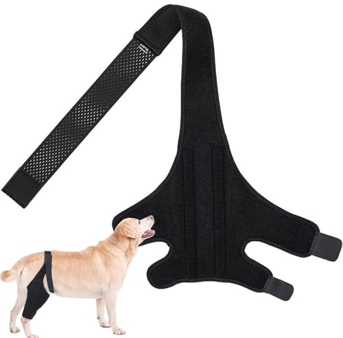 Haustier-Beinverletzungsbandage – Hunde-Kniebandage, Hundebeinschutz, Haustiergelenk-Stützbandage mit Metallverstärkung, elastischer Beinstabilisator, Hundebeinschutz für die Erholungsphase der