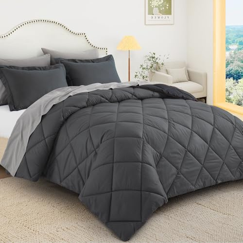 WQSPRING Queen Size Comforter Set, Reversible 3 Pieces Lightweight Soft Bedding Set for All Season, Premium Bed in a Bag Includes 1 Comforter (90x90) and 2 Pillowcase (20x26)