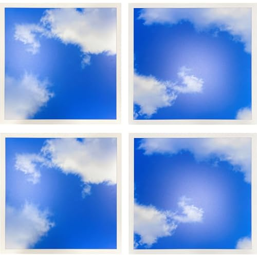 2x2 FT LED Sky Light Flat Panel, 40W, Color Temperature: 6500K, Dimmable Recessed Drop Ceiling Lights, 5000 Lumens, Lay in Fixture for Office, 120-277V, LED Sky Panel Lights ETL Listed (4 Pack)