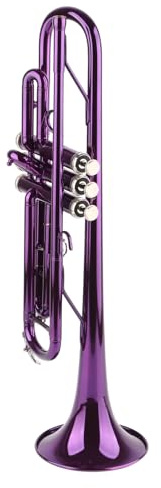 Eujgoov B-Trompeten-Set für Anfänger mit Koffer, Professionelles Blechblasinstrument mit Zubehör für Studenten, Bandübungen und Marschieren (PURPLE)