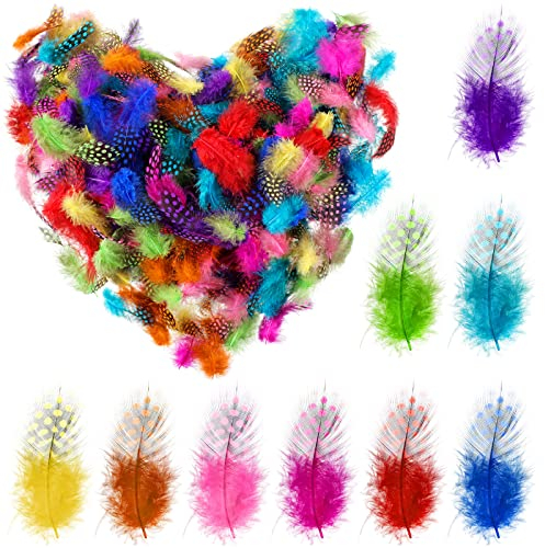 300 Stück Bunte Federn Hühnerfedern zum Basteln Natürliche Federn zum Basteln Federn Deko Perlenhuhn Feder für DIY Kopfschmuck Traumfänger Karneval Geburtstag Party