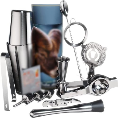 DYHWAC Caja de Regalo cilíndrica, Juego de coctelera Boston, Juego de 14 Piezas de Vasos mezcladores, Juego Completo de Accesorios for Barra, Clip de limón