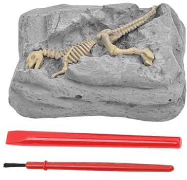 Kustimantu Ausgrabungsset, saurier Skelett Ausgrabungsset, Skelett Modell Wissenschaftsset Fördert Lernaktivitäten & Sensorik