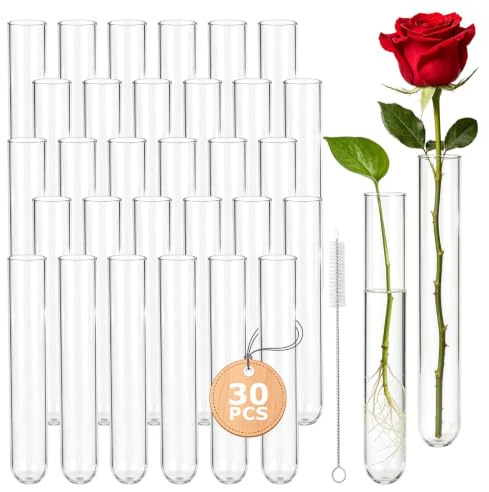 30 Stück Reagenzgläser Glas mit Reinigungsbürste,20 x 150mm Länge Reagenzglas Vase mit Rundboden,Transparente Laborröhrchen für Blumen Pflanzen Liquids DIY-Handwerk Laboratorien