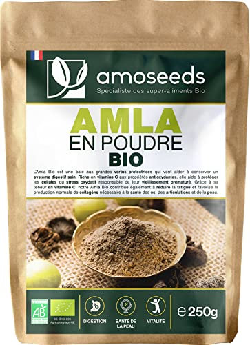 Amla en Poudre Bio 250G | Qualité Supérieure | Cheveux robustes, Anti-chute, Belle Peau, Vitamine C