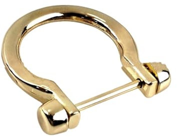 1 Stück Metallkarabiner D Schleife Schäkel Fob Schlüsselanhänger Schlüsselanhänger Haken Schraubverbindung Verbinder Schnalle Hellgold/Silber/Schwarz/Bronze(Lightgold)