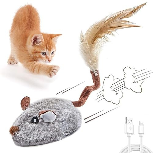 Elektrische Spielmaus für Katzen - Interaktives Katzenspielzeug Mit Federschwanz, USB-Aufladung, Selbstbeschäftigung für Kitten (Glau)
