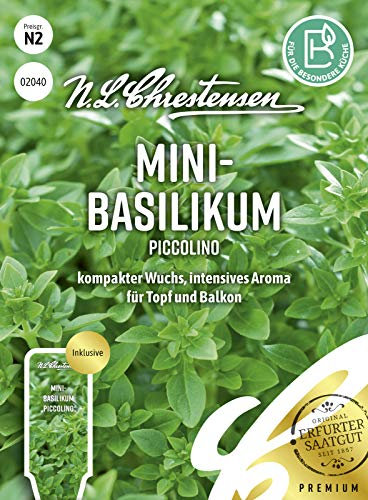 Mini- Basilikum Piccolino Samen, Saatgut