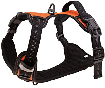 Floxik Hundegeschirr orange M | Anti Zug Brustgeschirr reflektierend & gepolstert mit Haltegriff für mittelgroße und große Hunde | Auch als Welpengeschirr geeignet