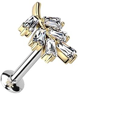 Paula & Fritz® Push-In Labret Piercing Blatt Zirkonia Klar Chirurgenstahl 316L Set Mehrfarbig 6-mm 8-mm Stab-Länge Madonna Medusa Ohr-Stecker Labret Stud
