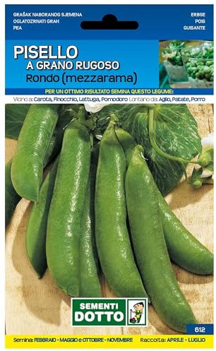 Sicignano | Semi Pisello a Grano Rugoso Rondo - Legume Ricco di Vitamine, Busta Extra - 2 Confezioni da 100g, Raccolta Primaverile-Estate