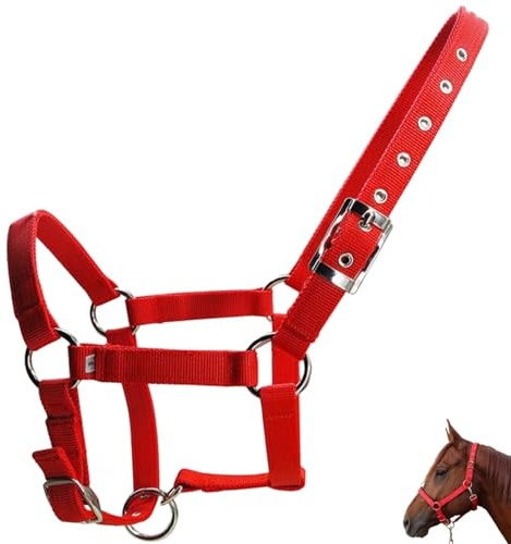 Takingup hästgrimma 25 mm bred, tjock PP-sadelgjord hästgrimma med metallspänne justerbart lätt rep för mini rep grimmor för hästar