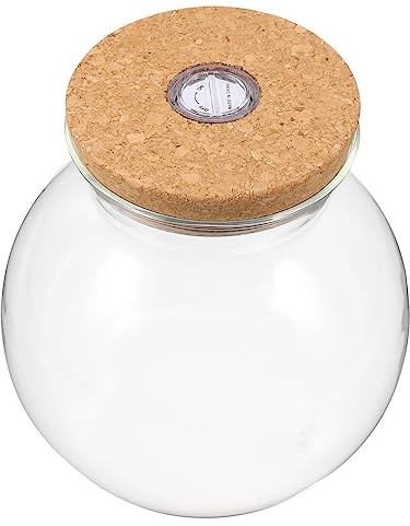 minkissy Praktische Glasflasche Für Fischbecken Zylindrische Ökologische Mikrolandschaft Mit Licht Für Kreative Wohnraumdekoration Für Schlafzimmer Und Büro