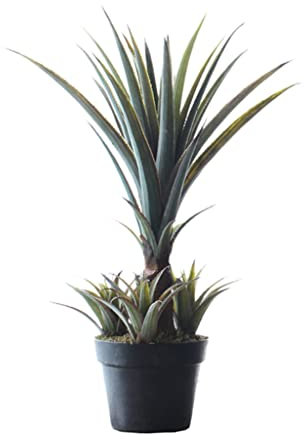 Künstliche Pflanzen Lebensleine gefälschte Pflanzen Agave, gefälschte tropische Palme im Topf, moderne Dekoration Kunstrimische Pflanze for den Innenbereich Umgebung verschönern ( Color : 25.5 )