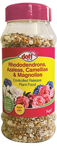 Doff Rhododendrons, Azaleas, Camellias & Magnolias Controlled Release Plant Food– 1Kg Fast-Acting Controlled Release Garden Fertiliser Granules – Encourages Root Development – Feeds for 3 Months