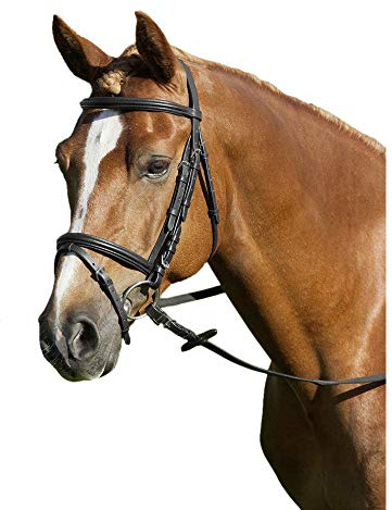 USG 14000001-399 Trensenzaum Basic, Schwarz, Englisches, RH, Größe: Shetty