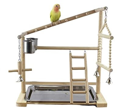 GLigeT Vogel Spielplatz Vogelstangenständer mit Futterschalen, Papageienplattform, Spielplatz, Übungsleiter, interaktives Spielzeug Wellensittich Spielplatz