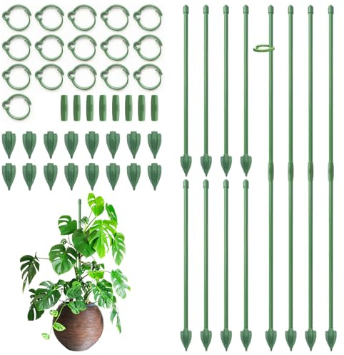 Pflanzenstütze, RIFNY 30cm Staudenhalter Rankhilfe Zimmer mit Clips, Einstellbar Pflanzenhalter für Monstera Orchideen Tomaten Rosen und Blumen (16 Stück, Grün)