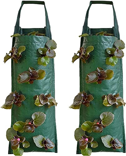 2 Stück Pflanztaschen Hängend Draußen Erdbeere Pflanzsack mit 8 Löchern Pflanzen Tasche Grow Tasche Pflanzbeutel Mit Griffe Garten Gemüse Zuchtbeutel Grow Tasche Hängend Erdbeeren Pflanztaschen