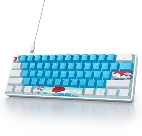 SOLIDEE mechanische Gaming Tastatur 60 Prozent,61 Tasten kompakte mechanische Tastatur RGB Hintergrundbeleuchtung,60% Prozent Tastatur mechanisch QWERTY,Roter Schalter für Win/Mac PC Laptop(61 Blue)