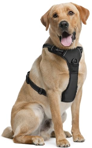 Dog Harness for Large Dogs - Large, Black - Soft-Padded & Adjustable No-Pull Design Pet Harness for Running, Hiking & Training - w/ 2 Leash Clips & Reflective Strips - by EcoEarth